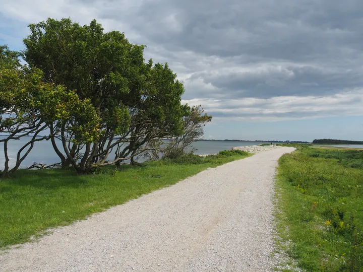 Halshuisene + Enebaerodde Beach (Denemarken)